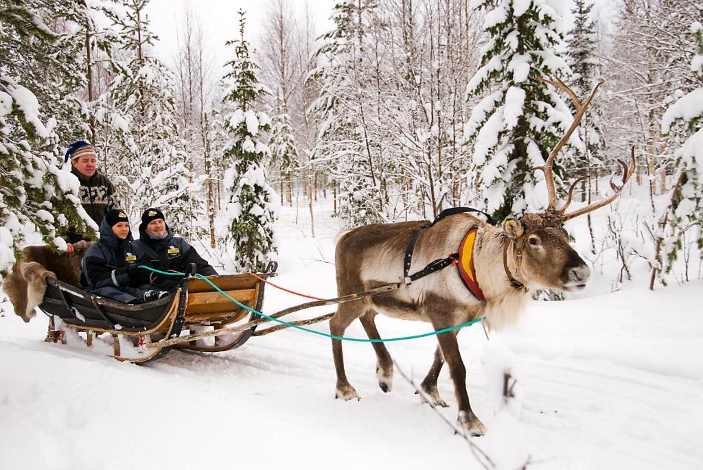 Lapland Northern Lights Hotel Ilveslinna Ranua Exterior foto