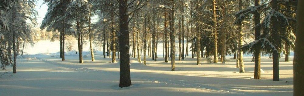 Lapland Northern Lights Hotel Ilveslinna Ranua Exterior foto
